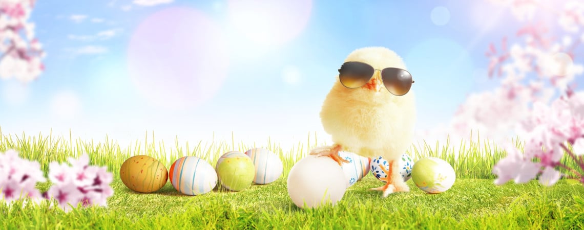 Frohe Ostern. Kücken mit Sonnenbrille und Ostereiern auf einer Wiese.