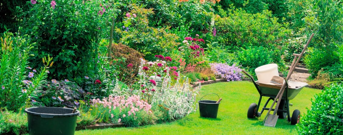 Schöner Garten, Schubkarre und Gartengeräte.