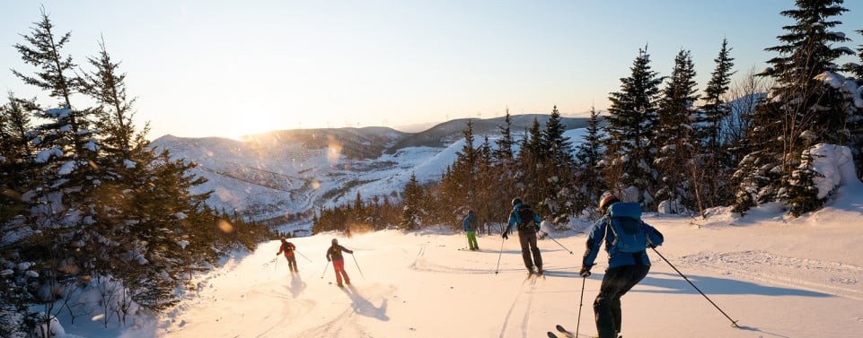 Personen, die im Schnee Ski fahren.